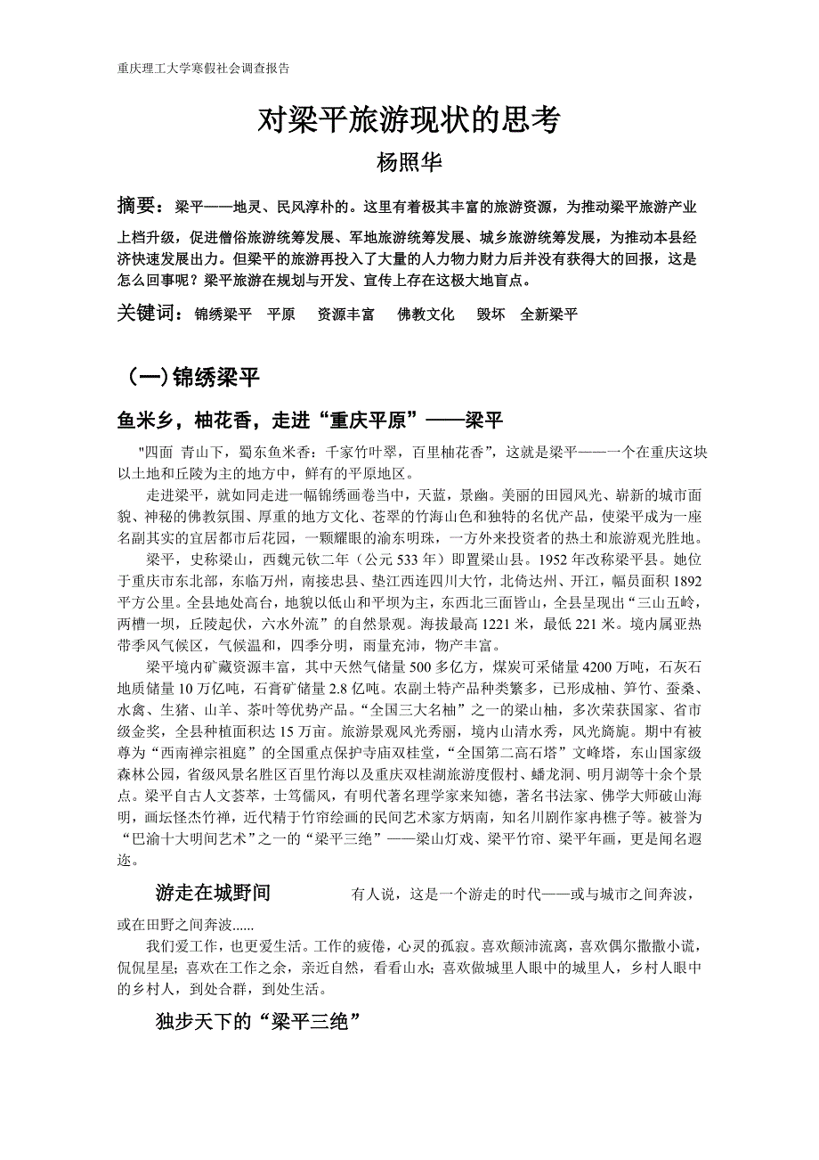 大学生社会调研报告_第1页