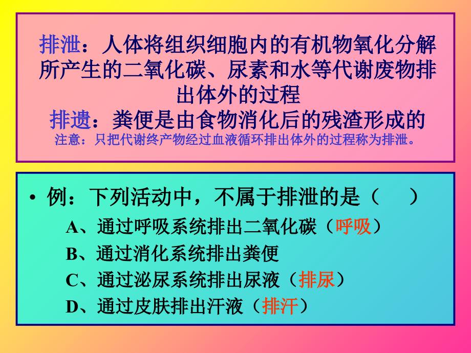 七年级下册生物学第五章人体内废物的排出ppt课件_第3页