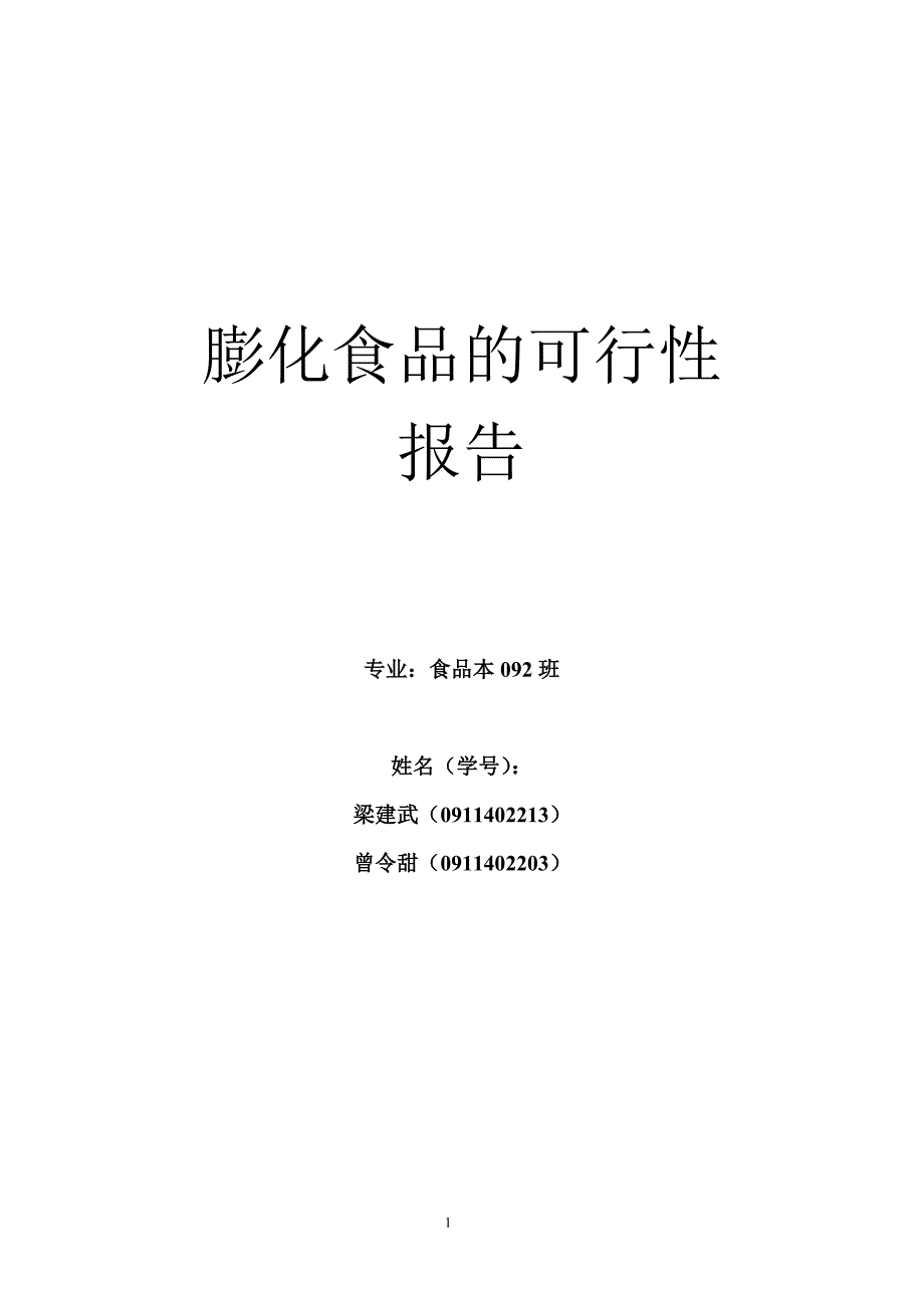 可行性报告__梁建武_第1页