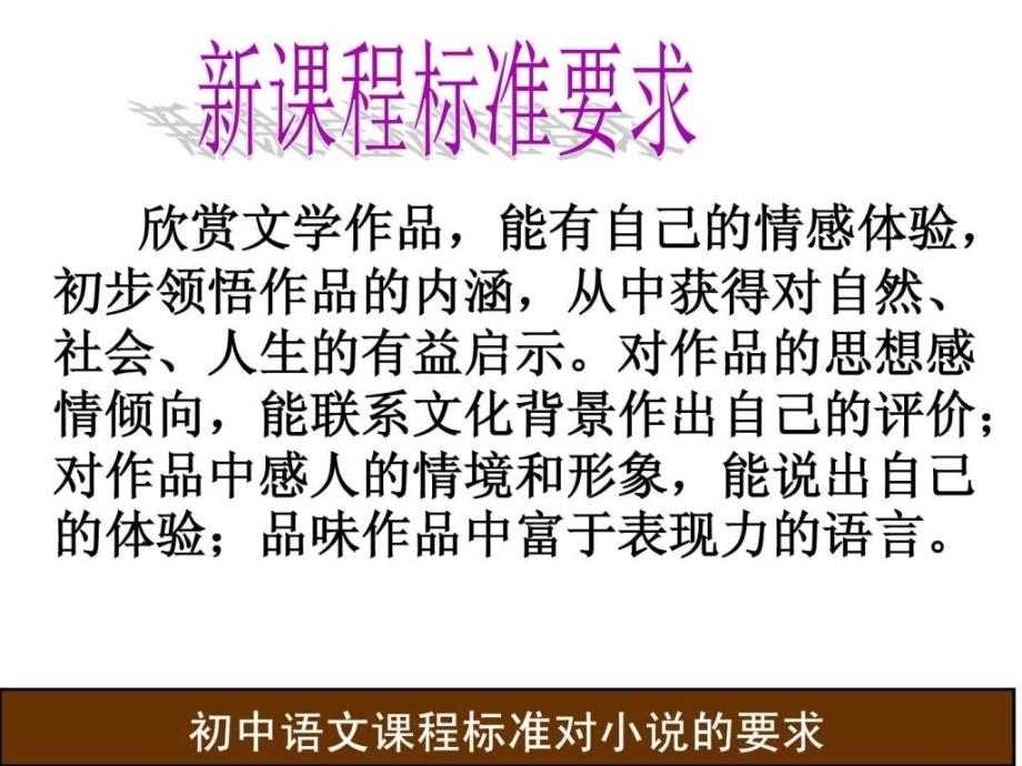 说教材初中语文小说专题ppt课件_第4页