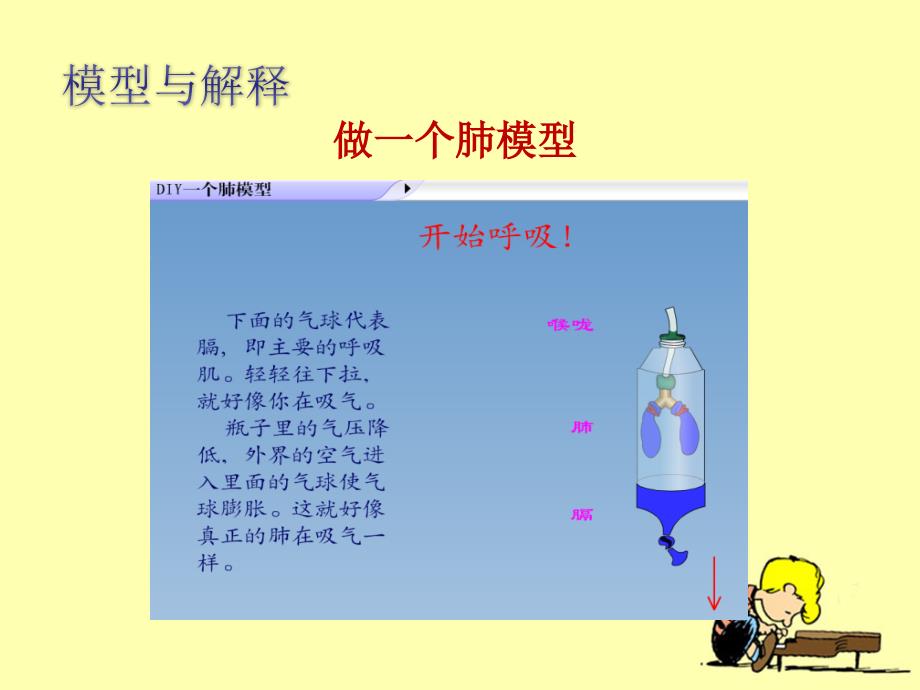 【大象版】四年级科学下册课件有趣的呼吸器官_第4页