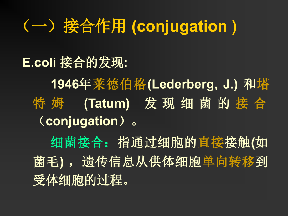 dna重组与基因工程ppt课件_第3页