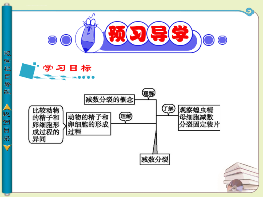 2012高一生物课件：减数分裂和受精作用（1）（新人教版必修2）_第3页