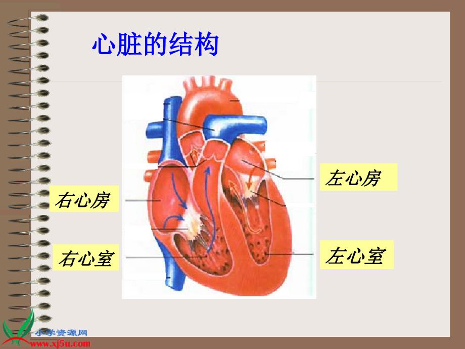 【首师大版】四年级科学下册课件心脏的保健2_第4页