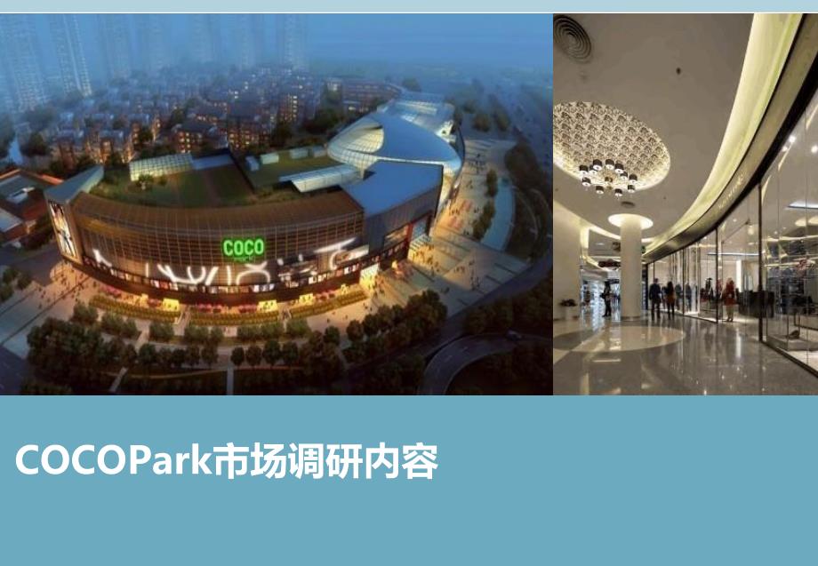 cocopark个案研究市场调研_第1页