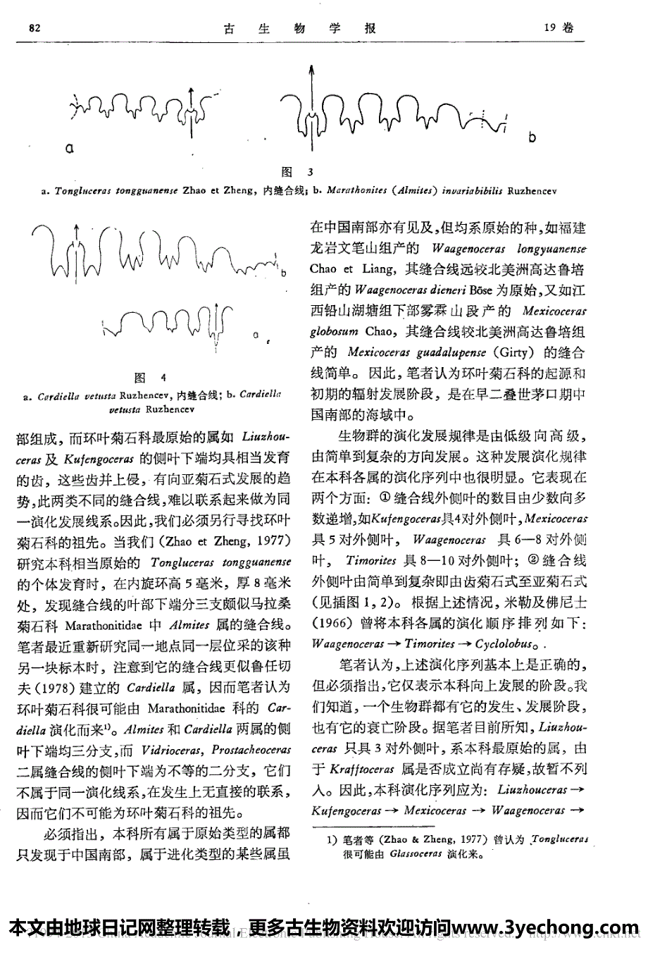 环叶菊石科的起源_分类及演化_第4页