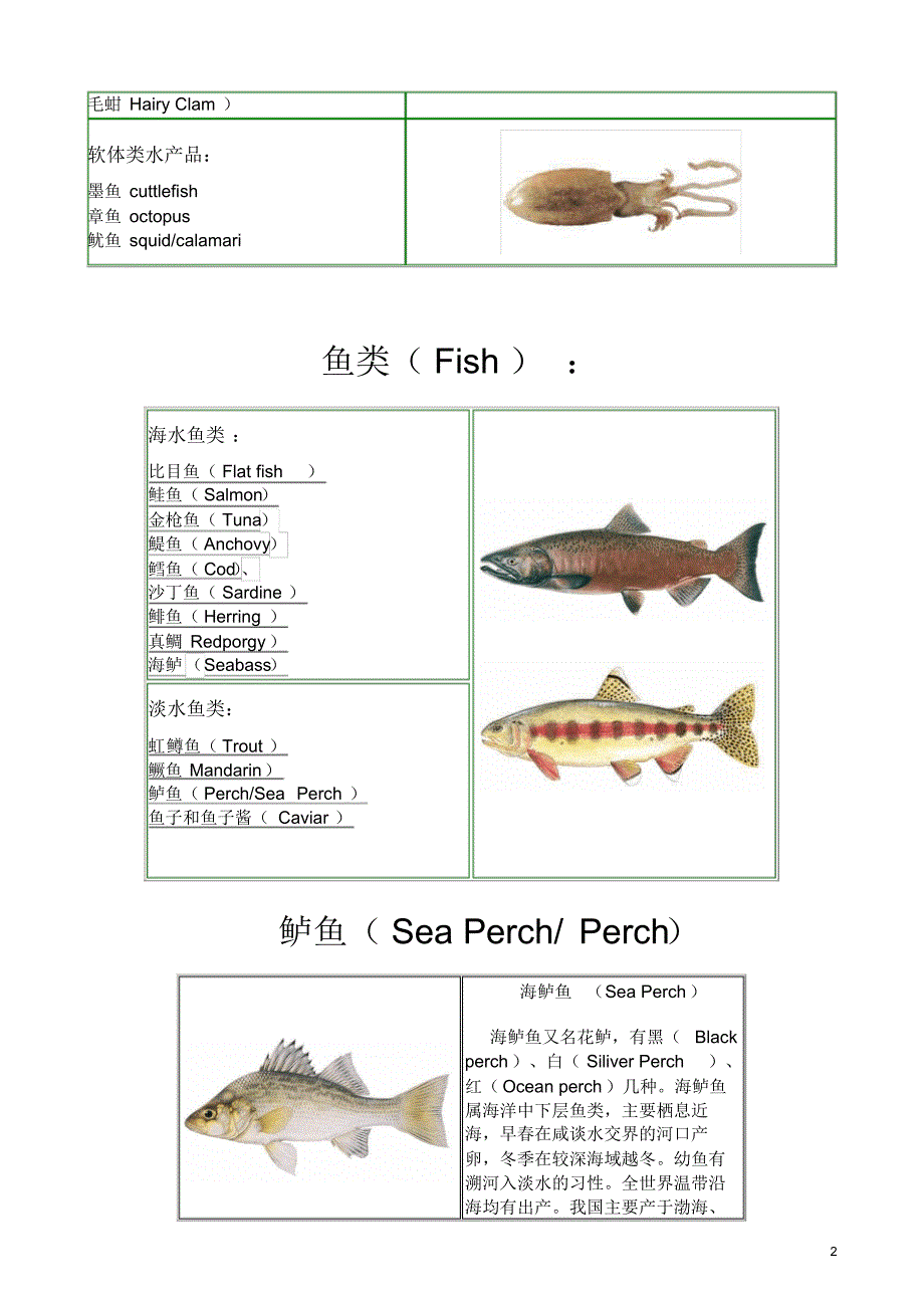 seafoodknown_第2页