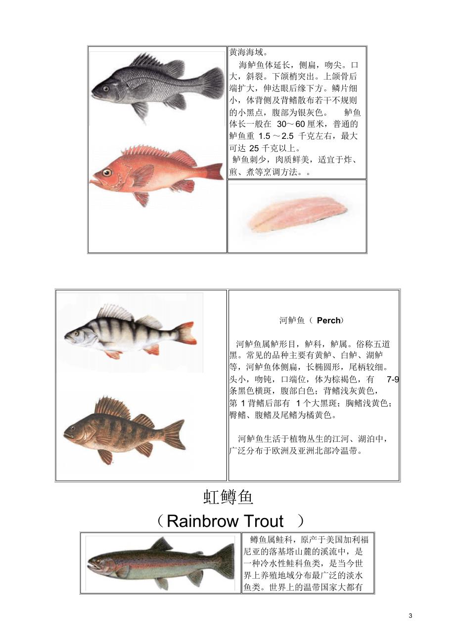 seafoodknown_第3页