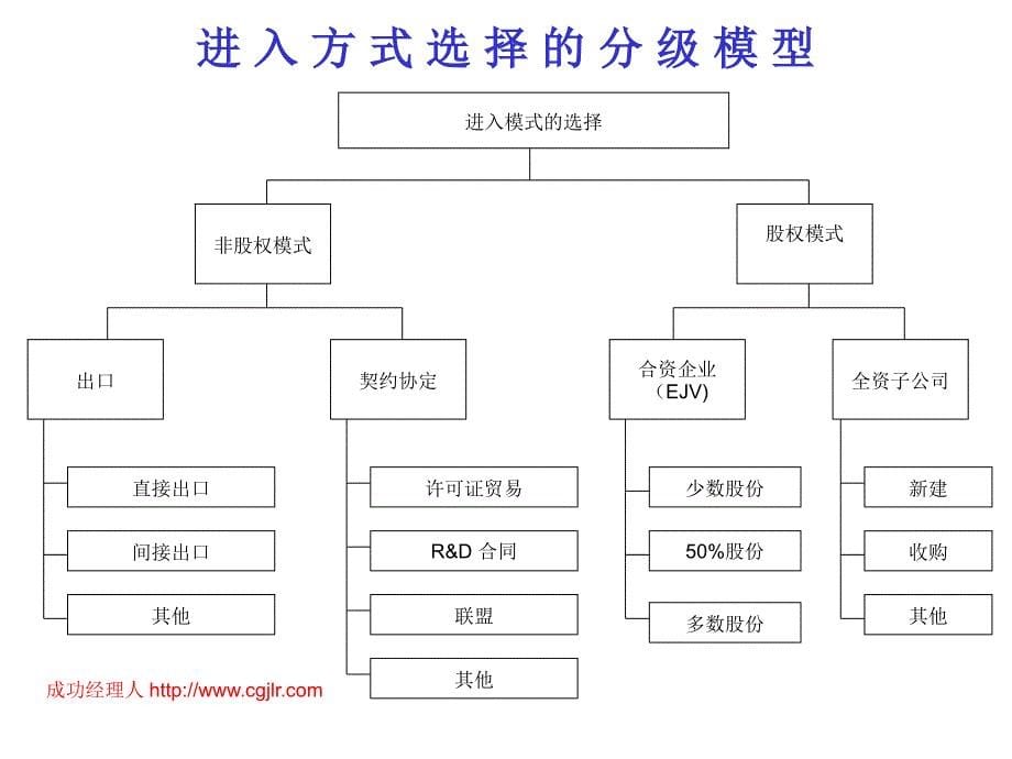 国际化的战略管理_第5页