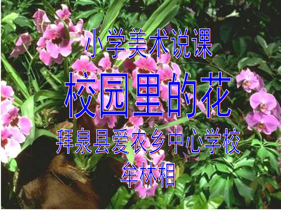 上年级上册美术课件-校园里的花_人教新版_第1页