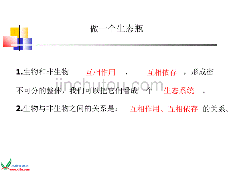 （鄂教版）五年级科学上册课件做个小生态瓶2_第3页