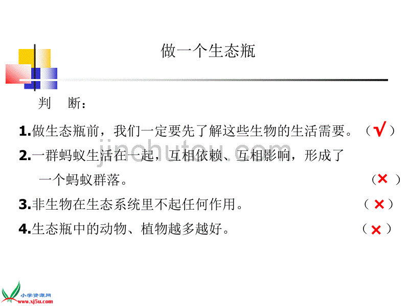 （鄂教版）五年级科学上册课件做个小生态瓶2_第4页