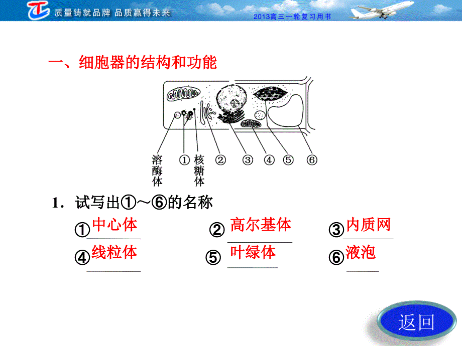 必修1第3章第二讲细胞器——系统内的分工合作(教材第2节)_第4页