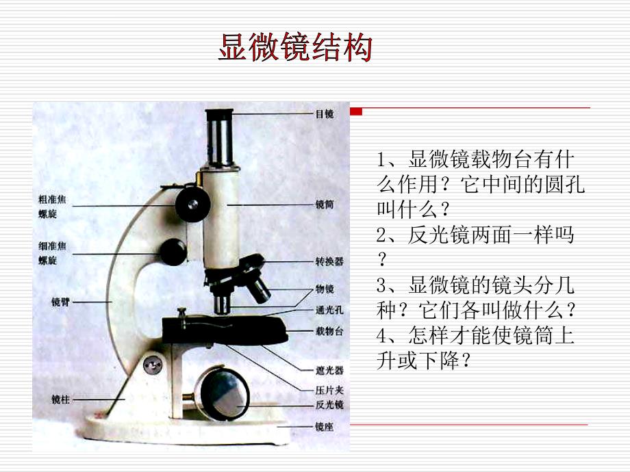 七年级生物练习使用显微镜课件_第1页