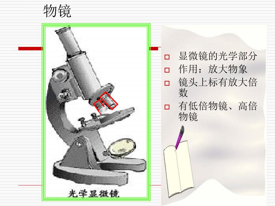 七年级生物练习使用显微镜课件_第4页