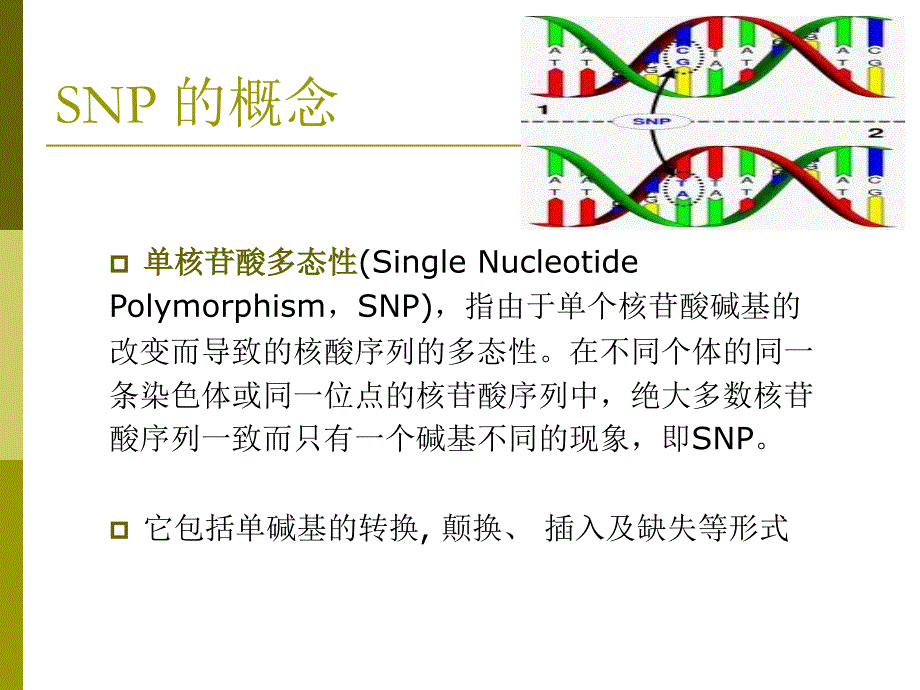 SNP检测技术_第3页