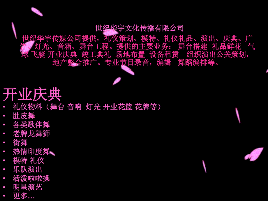 世纪华宇业务ppt_第1页