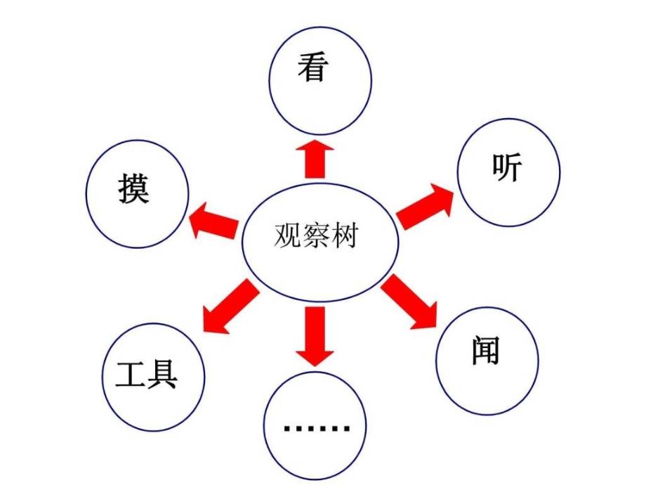 小学科学三年级《校园的树木》ppt课件_第3页