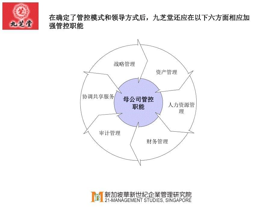 九芝堂母子公司管控方案_第5页