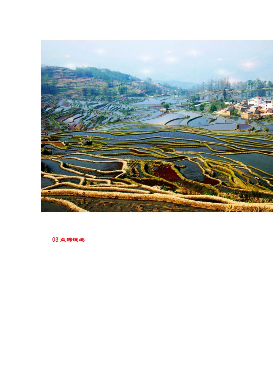 中国最美的六大湿地公园_第2页