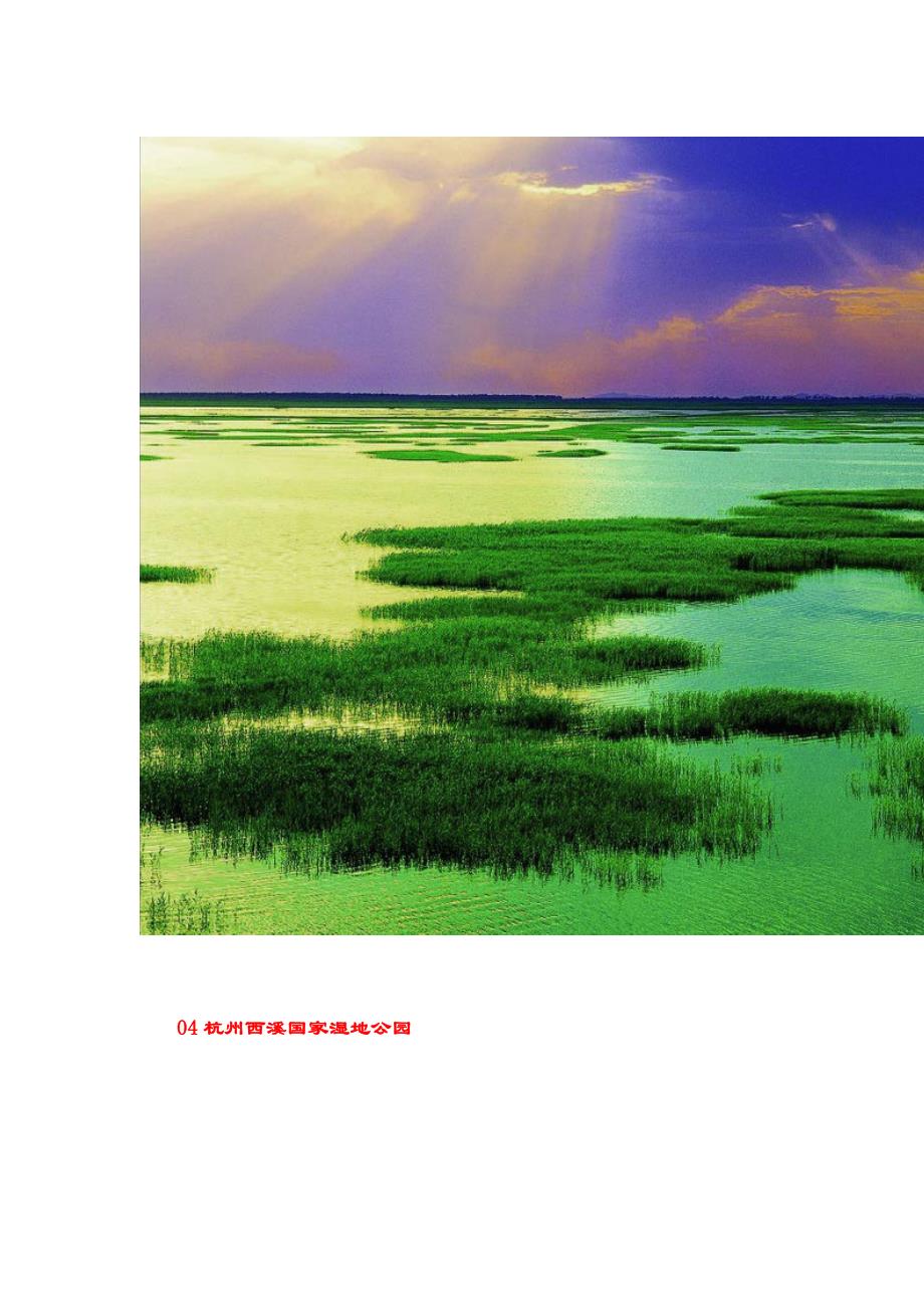 中国最美的六大湿地公园_第3页