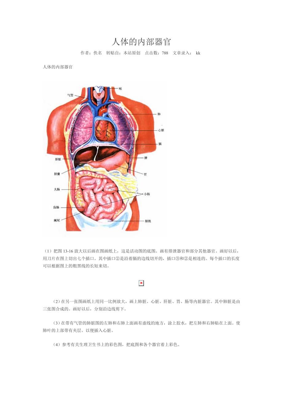 人体的内部器官_第1页