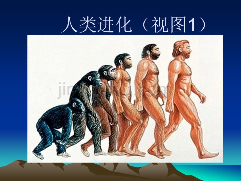 （大象版）六年级科学下册课件展现人类祖先的生活画卷_第3页