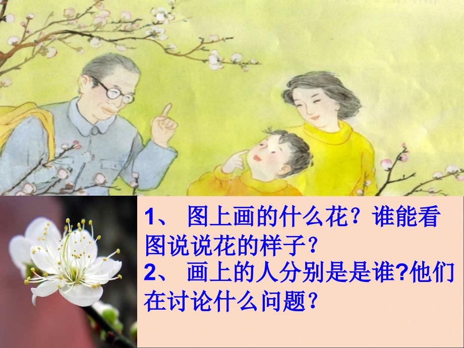 [第一朵杏花]课件4_第2页