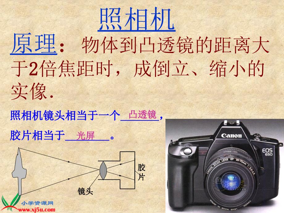 【苏教版】五年级科学上册课件照相机和眼睛1_第3页