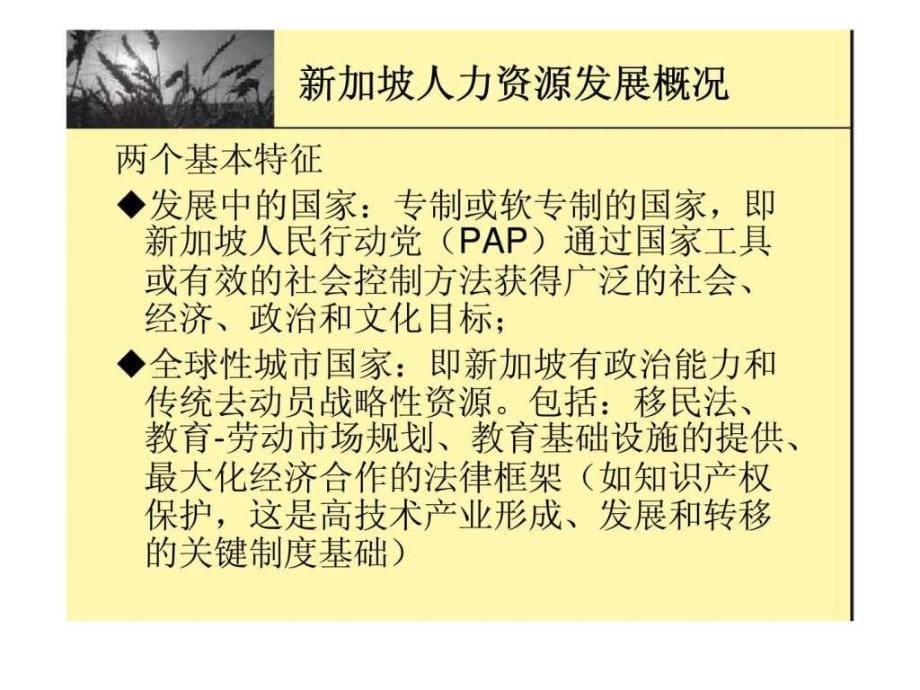 学习借鉴新加坡人力资源开发经验ppt课件_第5页