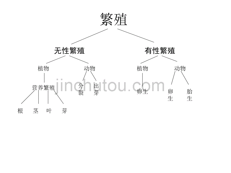 【苏教版】五年级科学下册课件不用种子也能繁殖吗3_第2页