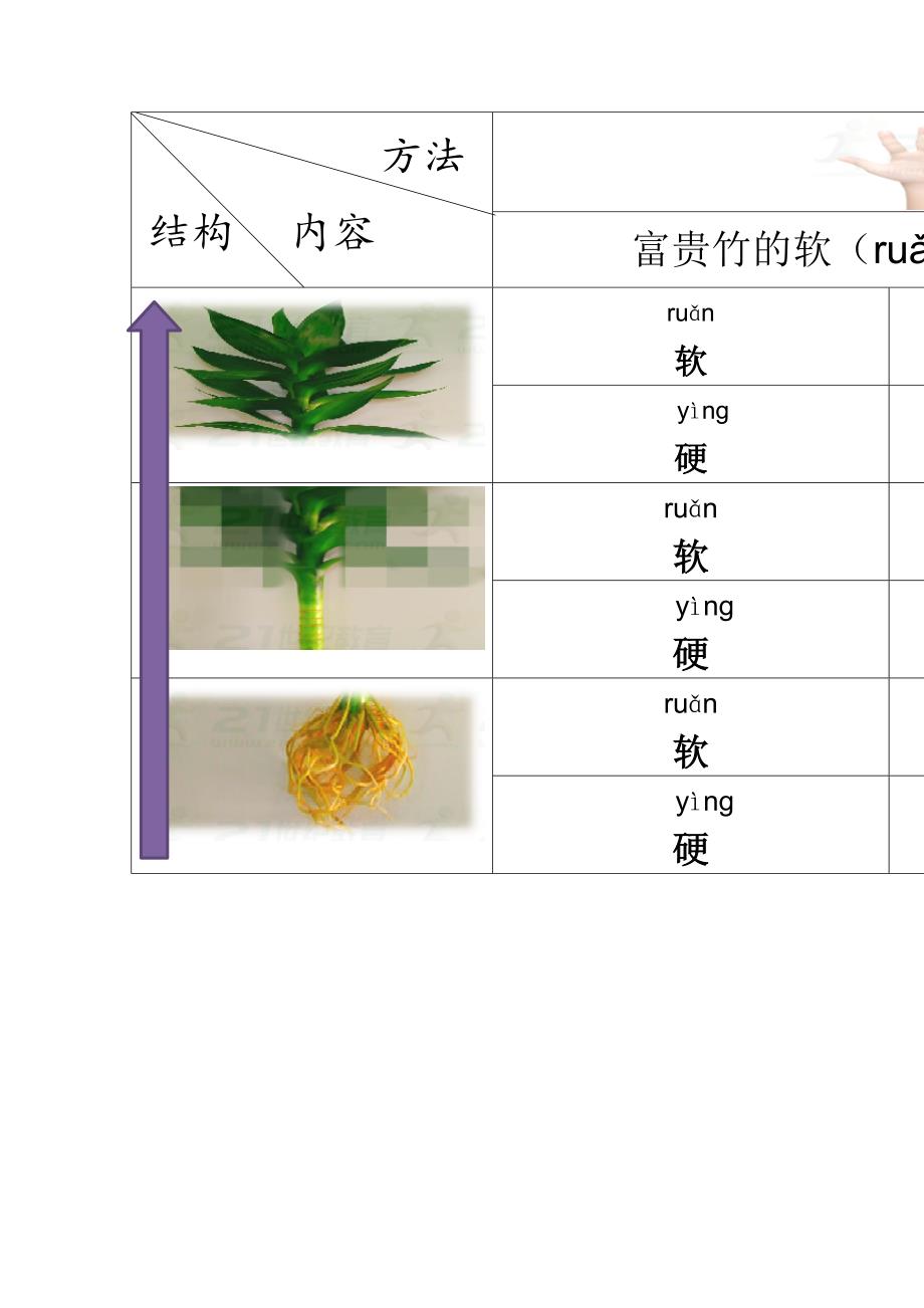 小手组_第1页