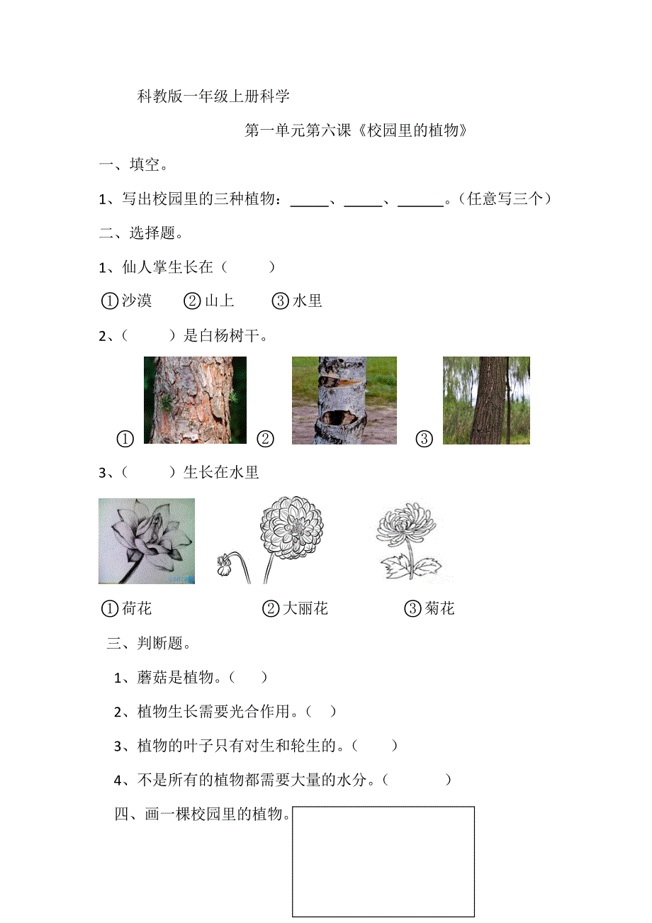 一年级上科学一课一练科教版一年级科学上册1.6《校园里的植物》课课练教科版（2017秋）_第1页