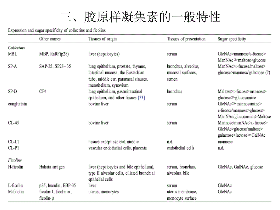 胶原样凝集素幻灯(免疫)_第4页