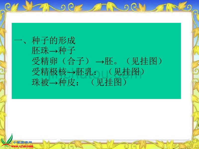 （浙教版）三年级科学下册课件果实和种子3_第2页