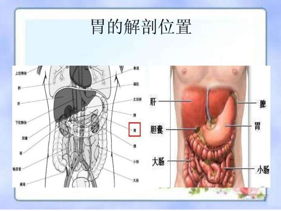 胃癌常见手术方式_1ppt课件_第2页