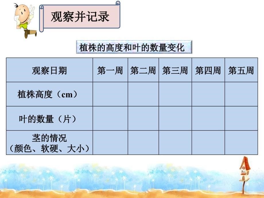 【湘教版】四年级科学下册课件小苗快快长_第5页