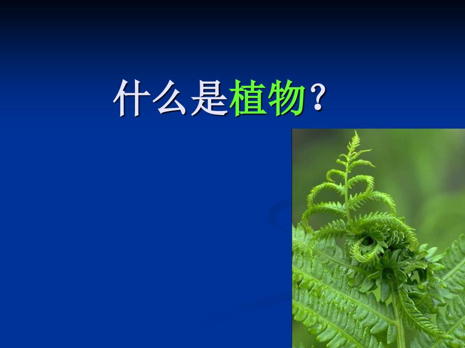 普通生物学-17-1-植物的结构、生殖和发育-植物的细胞和组织_第2页