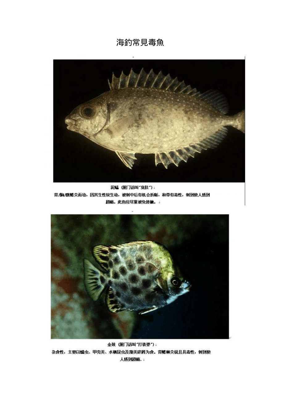 常钓常见鱼种与毒鱼_第1页