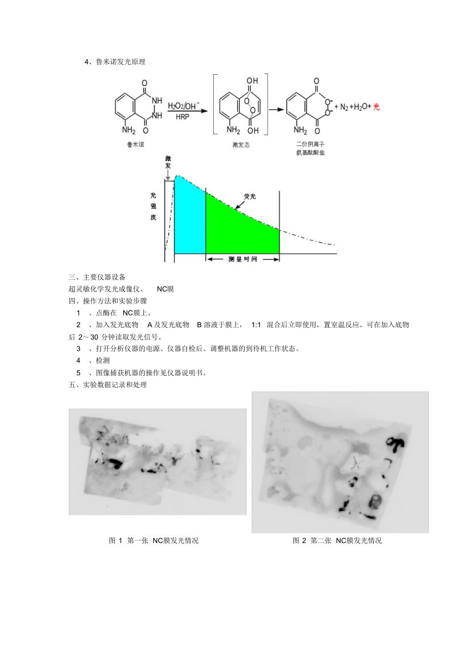 实验报告八化学发光_第2页