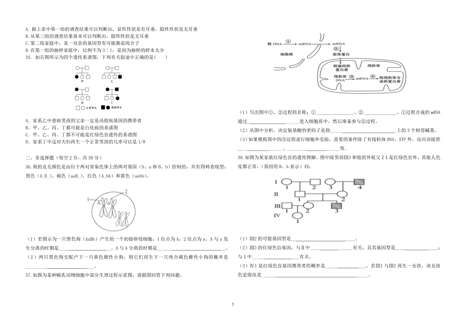 高一(下)生物期末试题_第3页