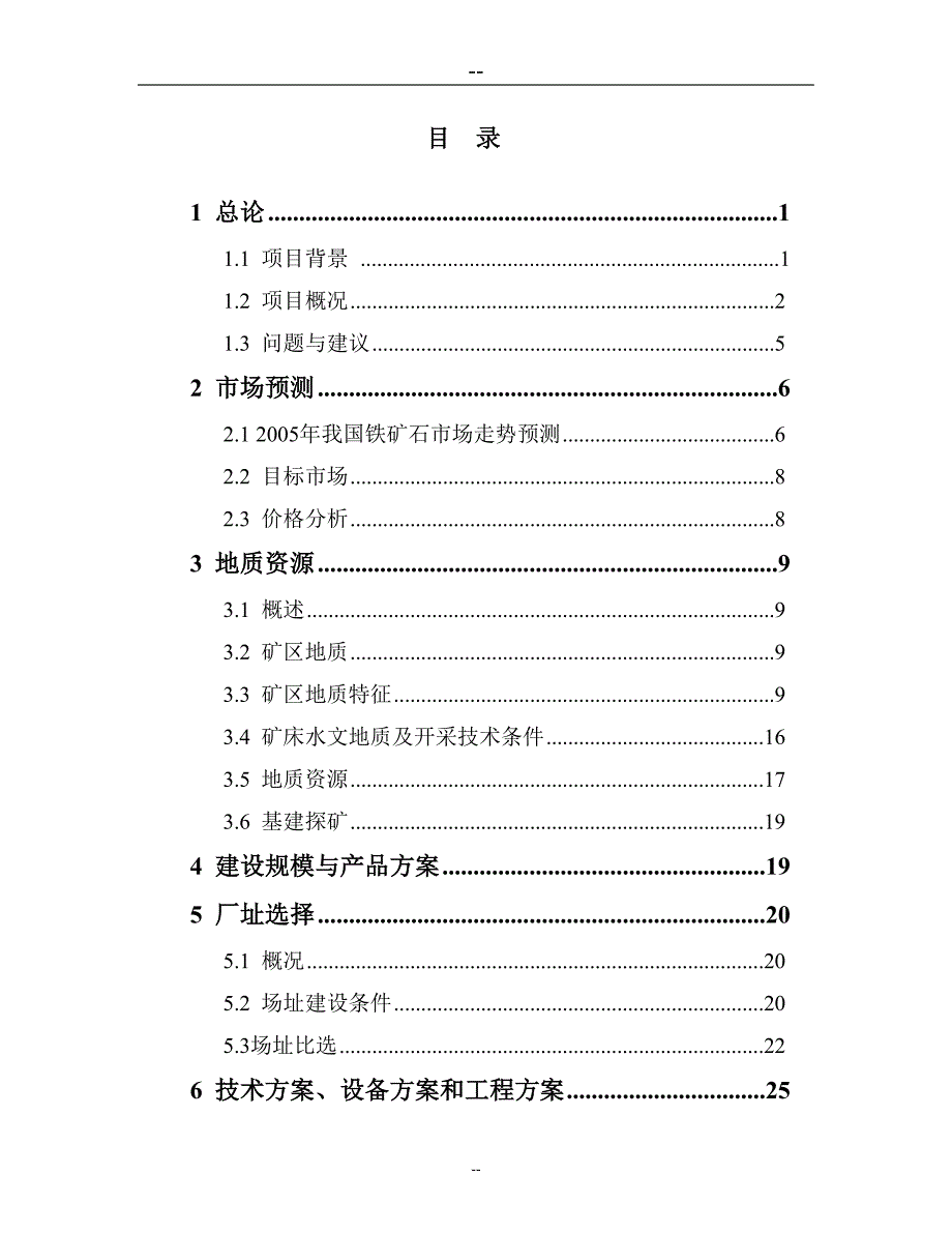 某某公司铁矿开采项目可行性研究报告_第1页