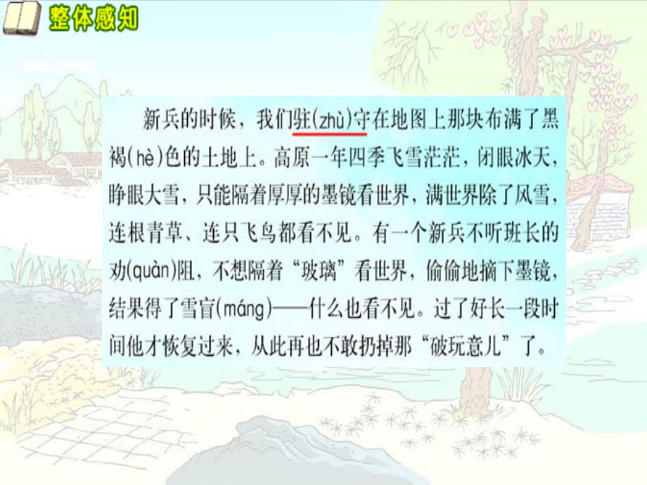 小学语文：第六单元第24课《到山下去看树》ppt课件（西师大版五年级下）_第4页