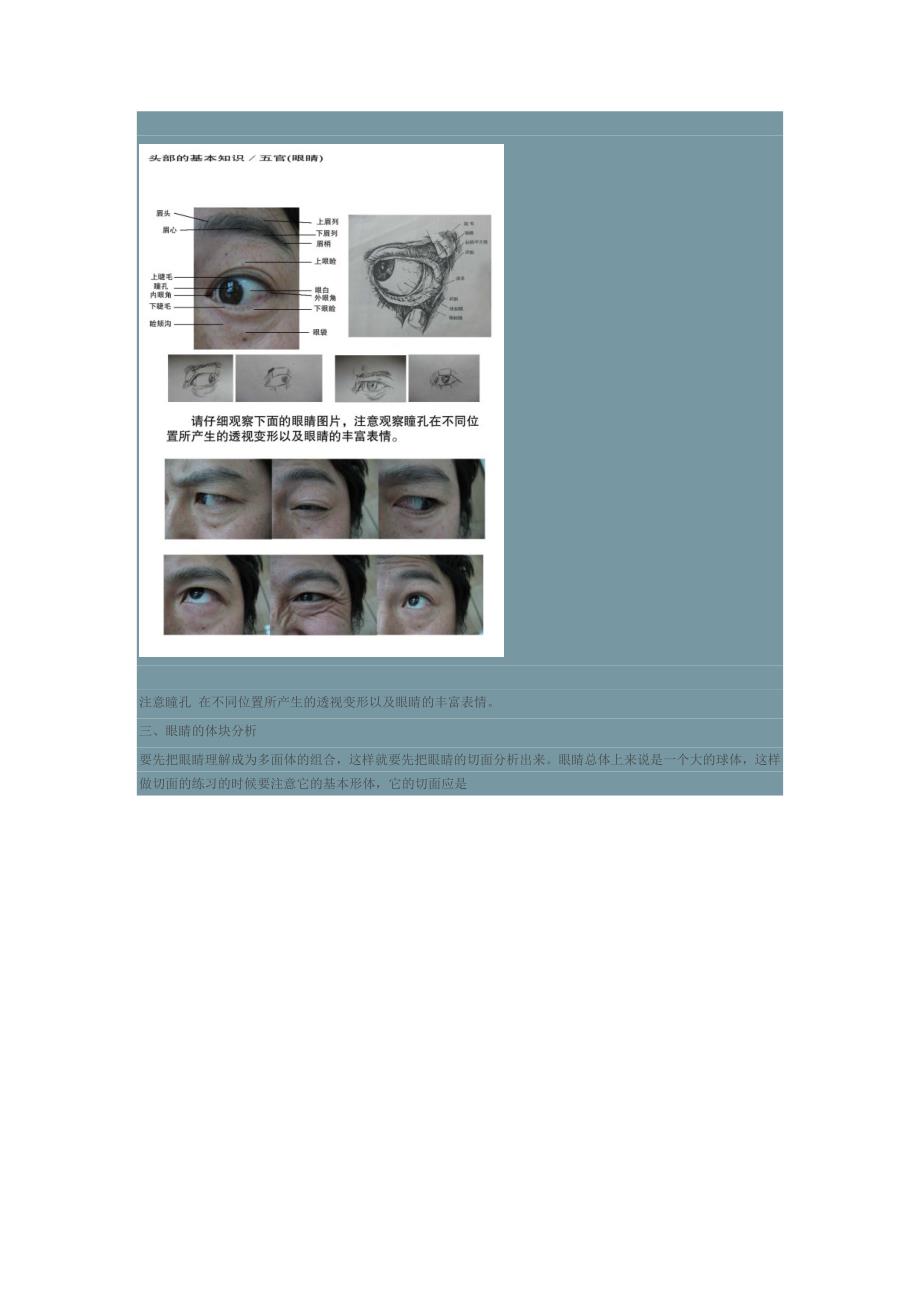 五官基础知识_第2页
