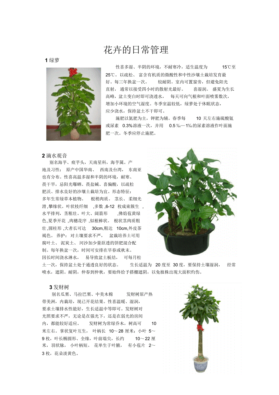 普通花卉管理_第1页