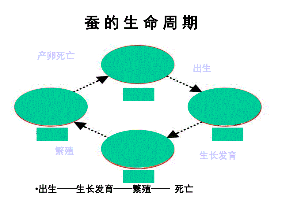 其他动物的生命周期ppt课件_第2页