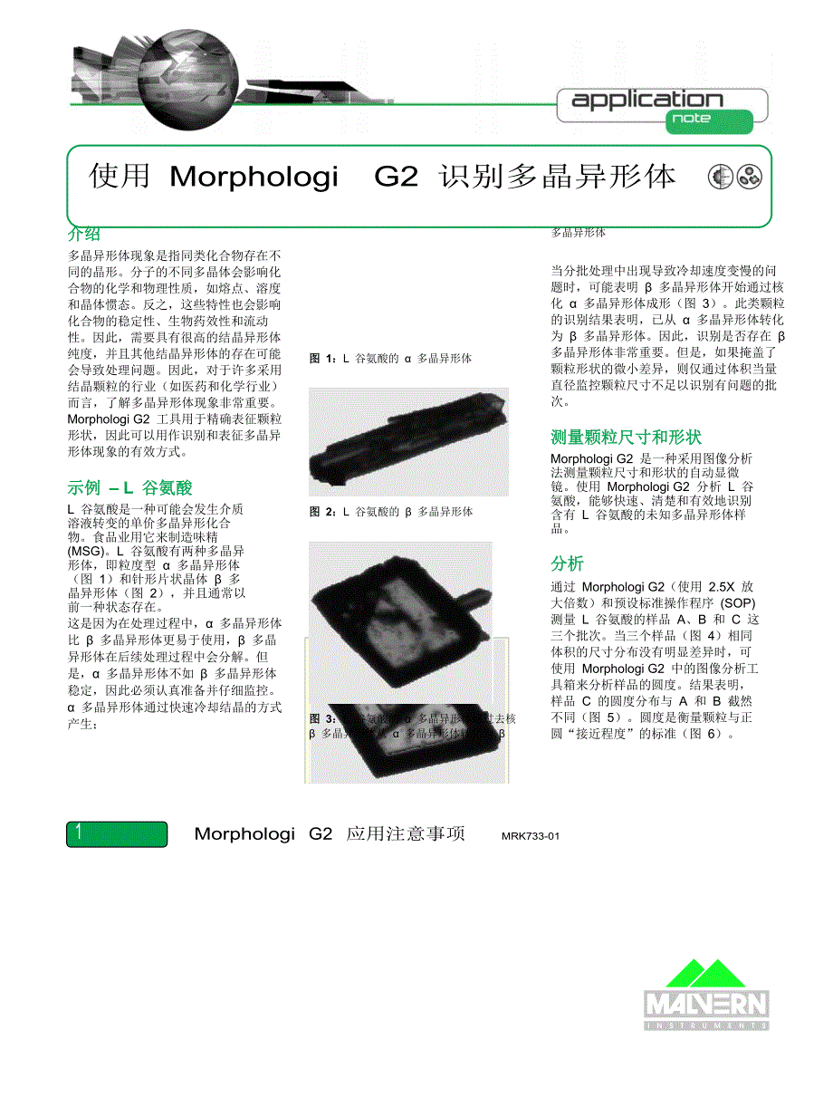 识别多晶异形体_第1页