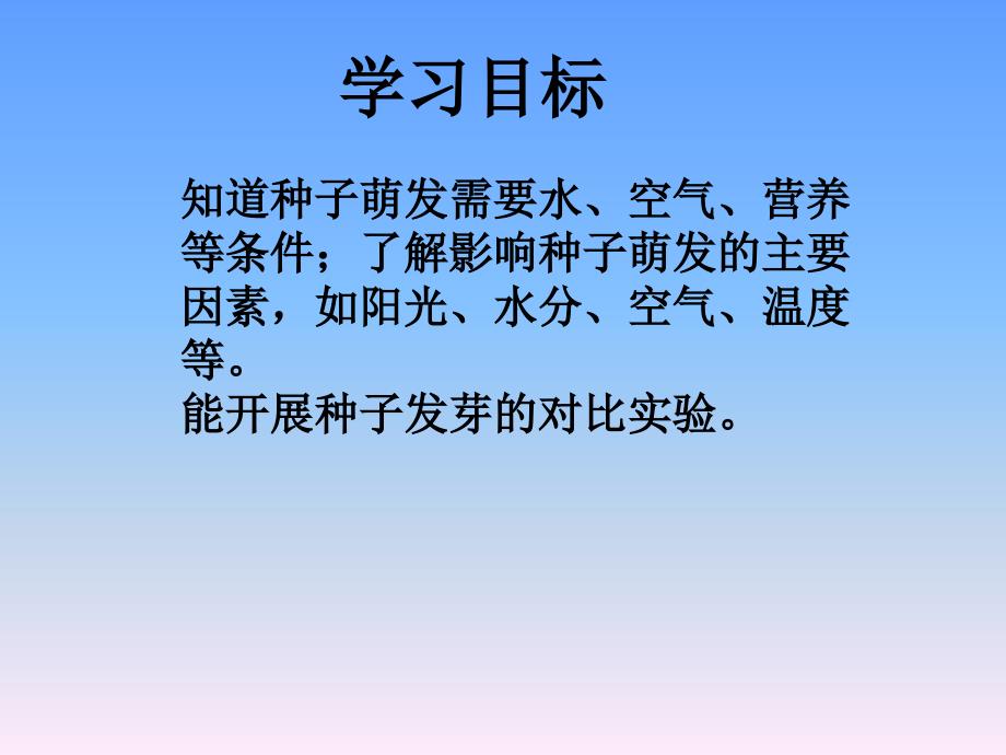 四年级下科学课件（A）-种子发芽了_青岛版_第3页