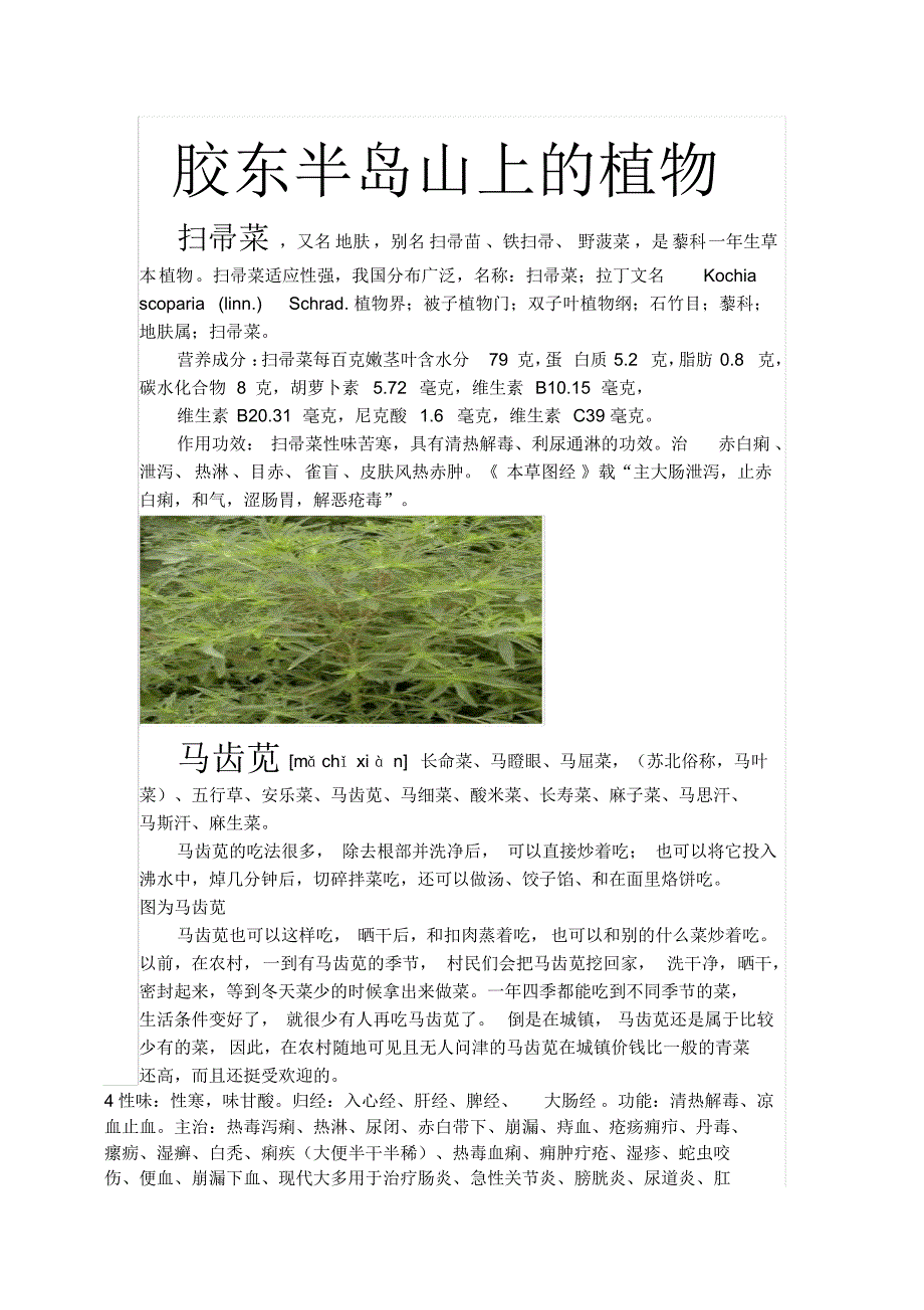 胶东半岛山上的植物、果实_第1页