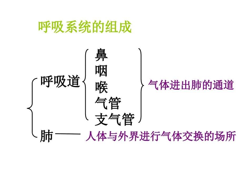 人体细胞获得氧气的过程ppt课件_第5页